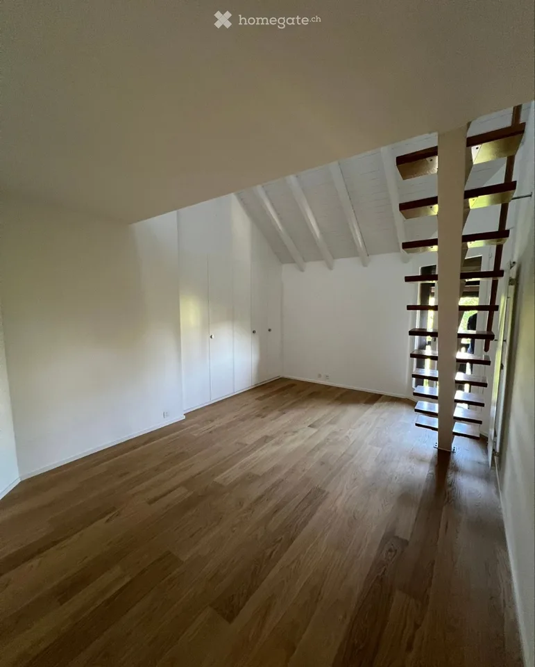 ( urgente ) duplex 6 pezzi 180m2 campagna ginevrina