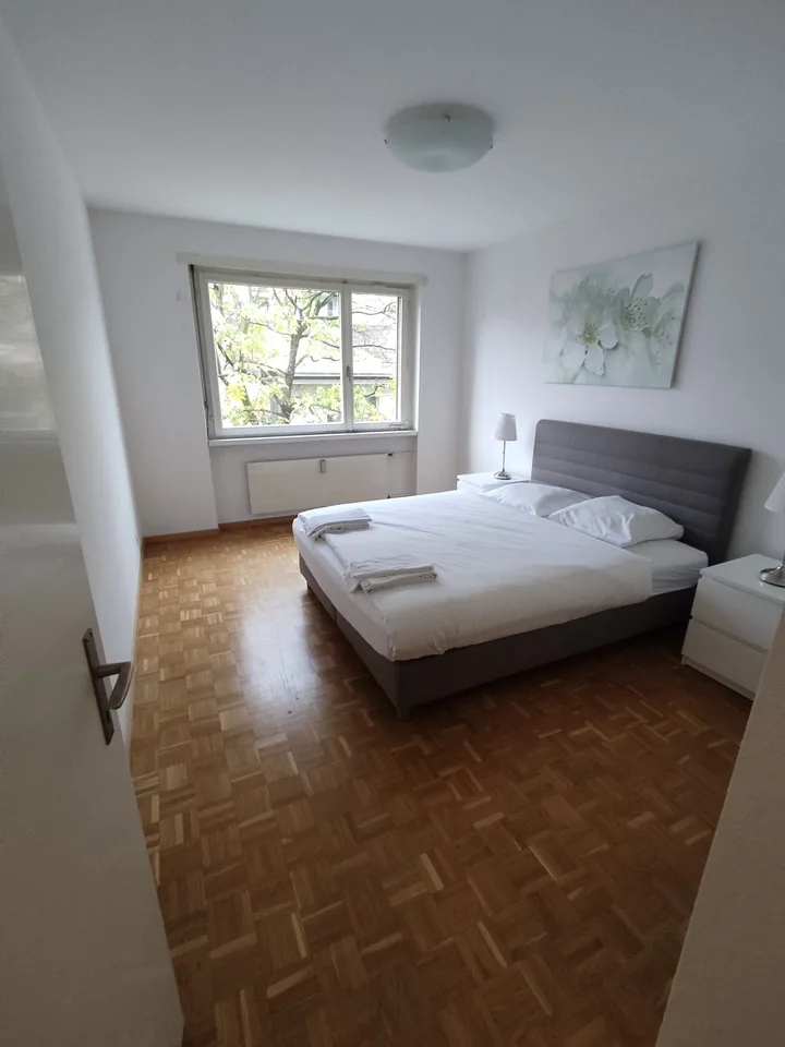 2.5 room Apartment in Gundeli