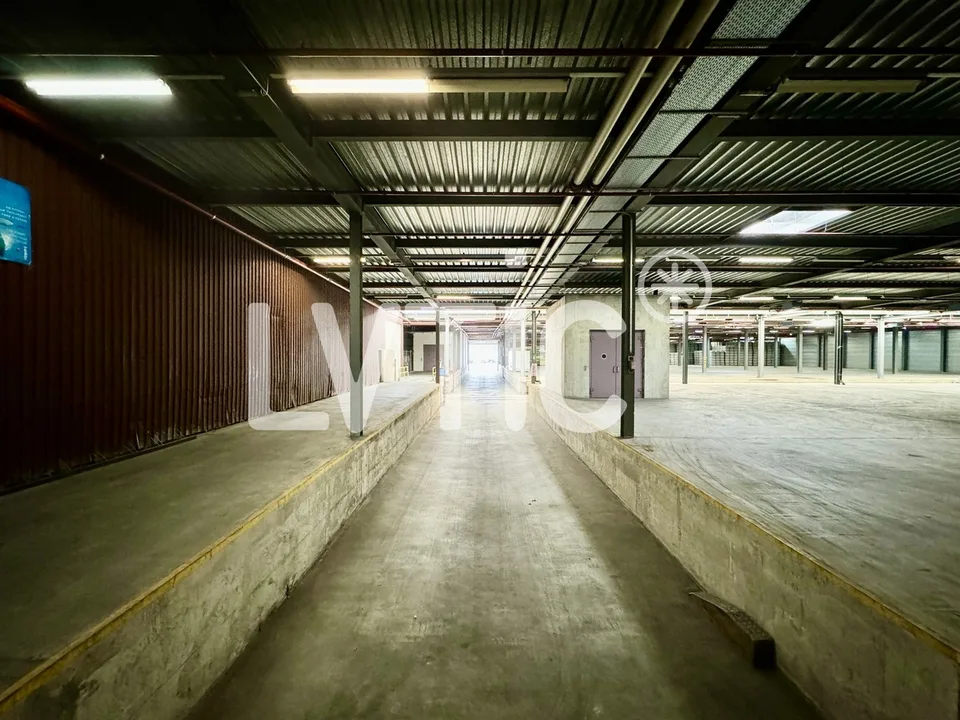 Magazzino logistico di 2200 m2 in affitto a Etoy