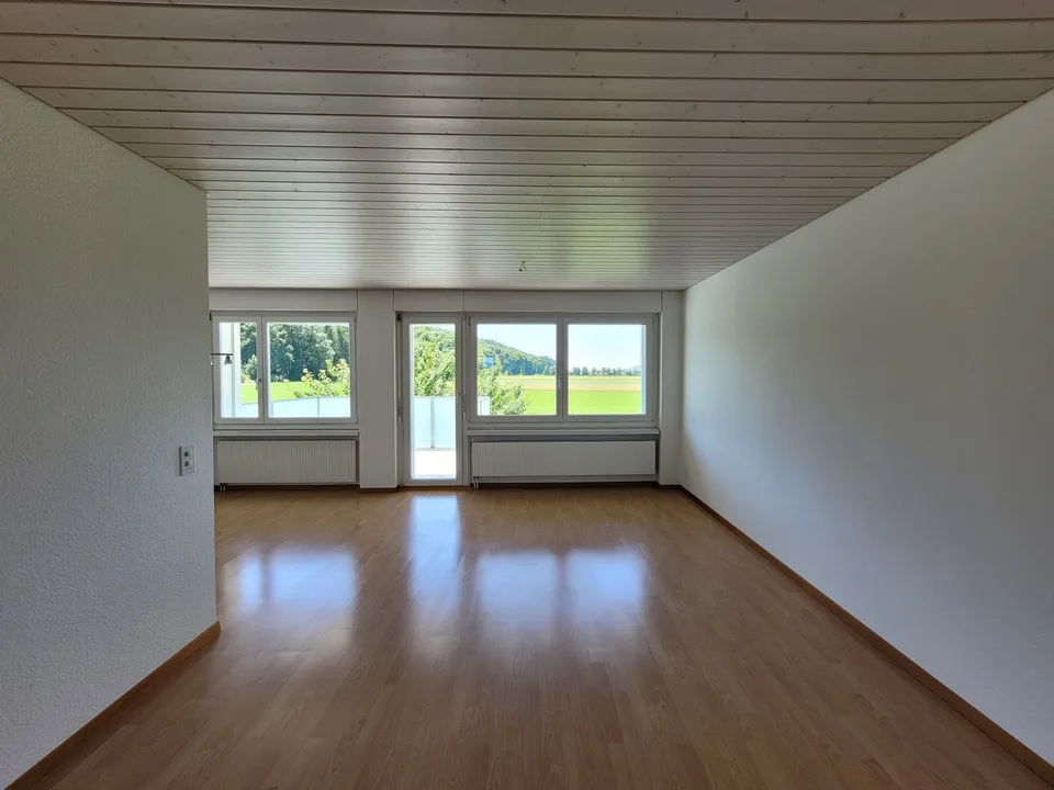 3 1/2 Zimmer-Altbauwohnung im Grünen