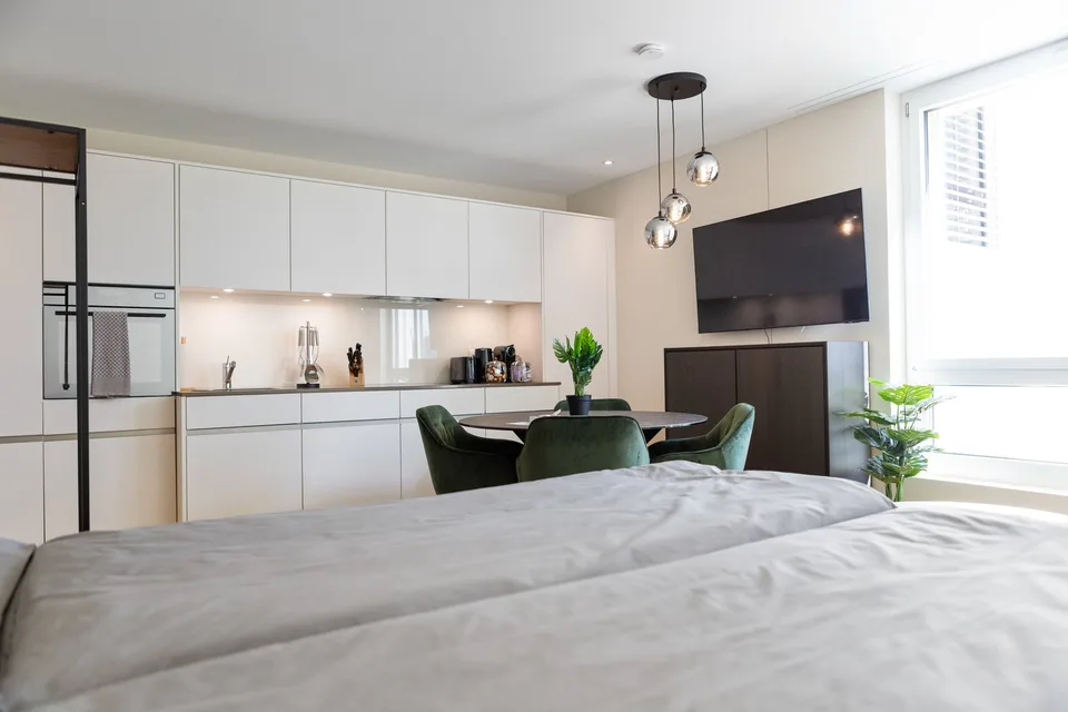 Grosszügiges möbliertes Studio mit Terrasse, Parkplatz & Co-Working-Zugang in Embrach, Zürich