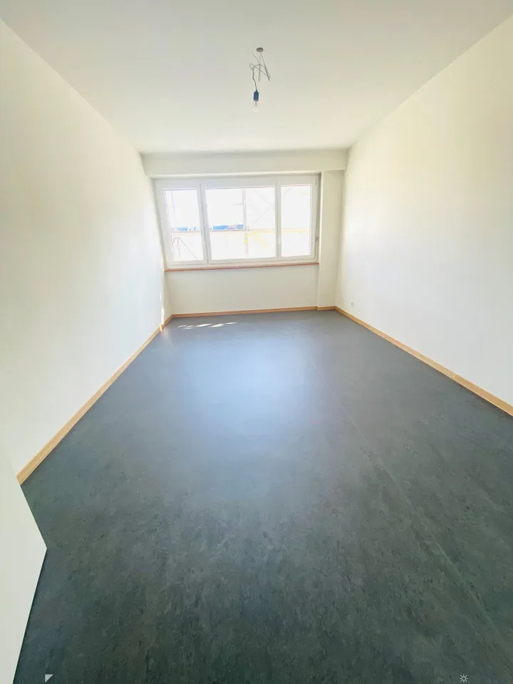 Sanierte 2-Zimmerwohnung direkt am Stadtpark