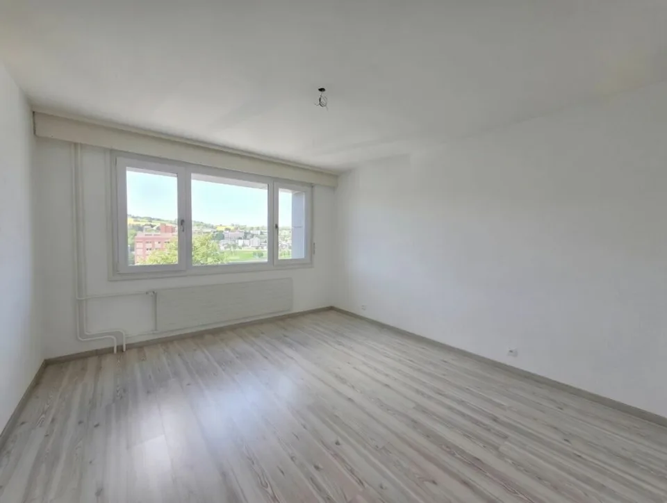 Incantevole appartamento di 4,5 locali completamente ristrutturato con vista sulla città