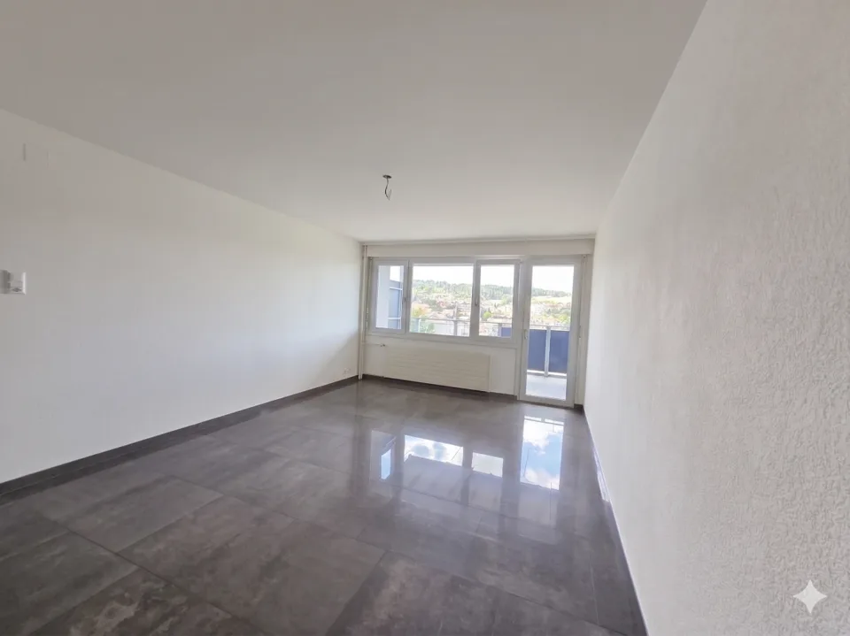 Incantevole appartamento di 4,5 locali completamente ristrutturato con vista sulla città