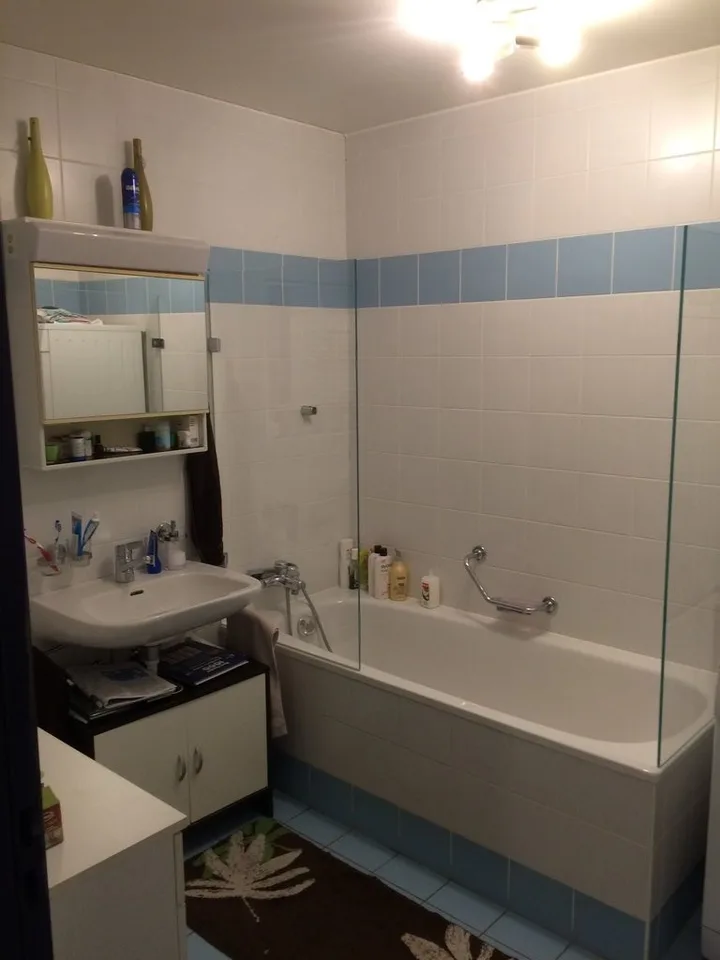 Großes 3.5-Zimmer-Appartement unter dem Dach