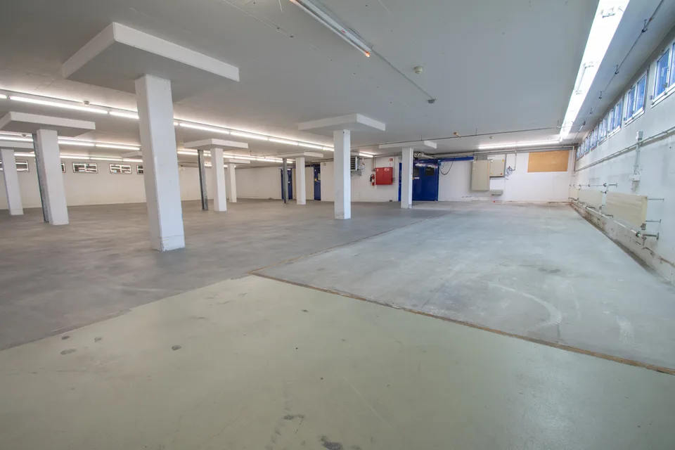 Multifunktionaler Gewerberaum mit optimaler Infrastruktur – Foto 7 von 9