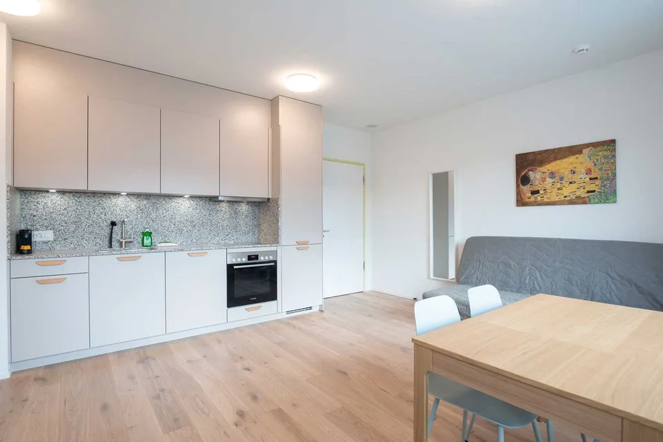 Moderne, frisch renovierte 2 Zimmer Wohnungen mit Balkon