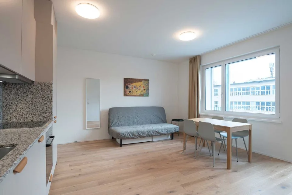 Moderne, frisch renovierte 2 Zimmer Wohnungen mit Balkon