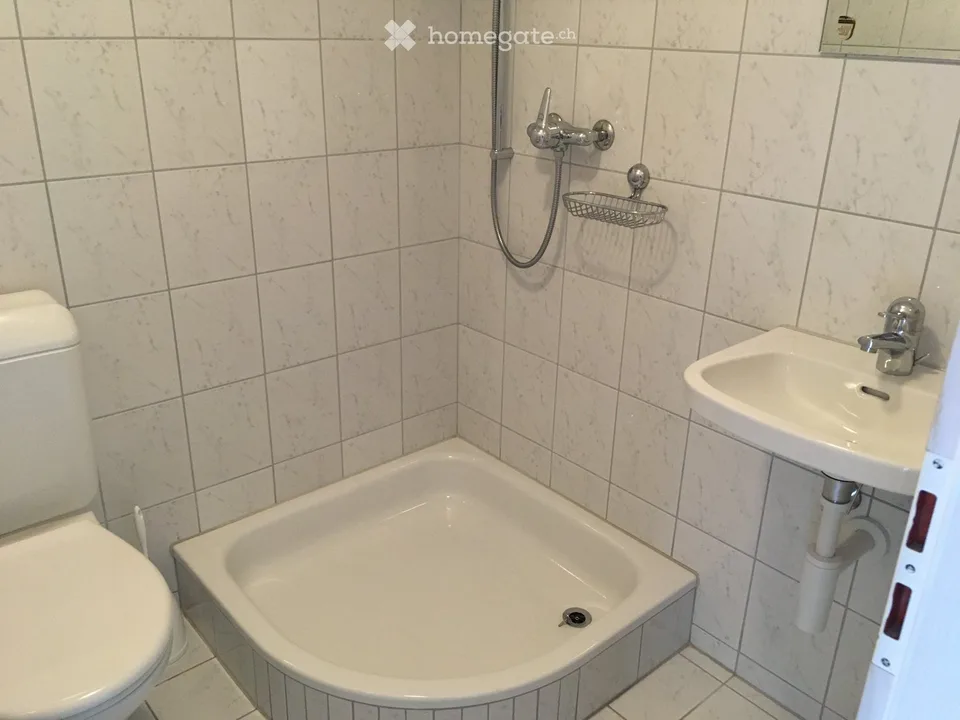 Helle 4-Zimmer-Wohnung in Bahnhofs- und Seenähe in Steckborn