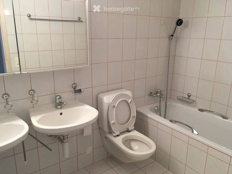 Helle 4-Zimmer-Wohnung in Bahnhofs- und Seenähe in Steckborn