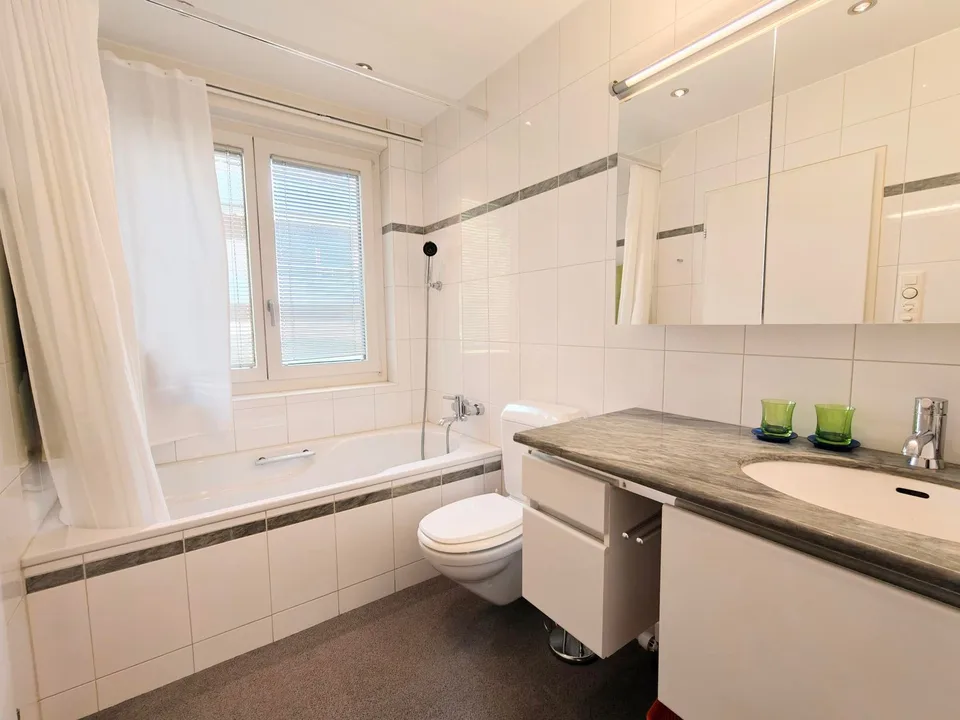 Appartamento attico arredato di 2,5 locali con terrazza da sogno – foto 6 di 8