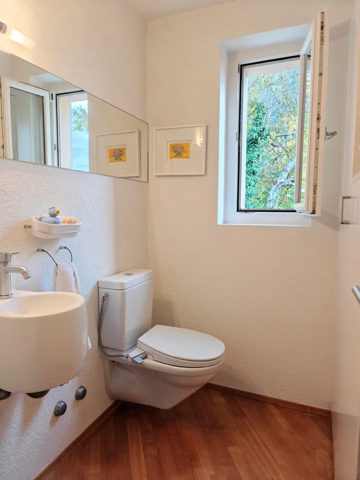 Appartamento attico arredato di 2,5 locali con terrazza da sogno – foto 7 di 8