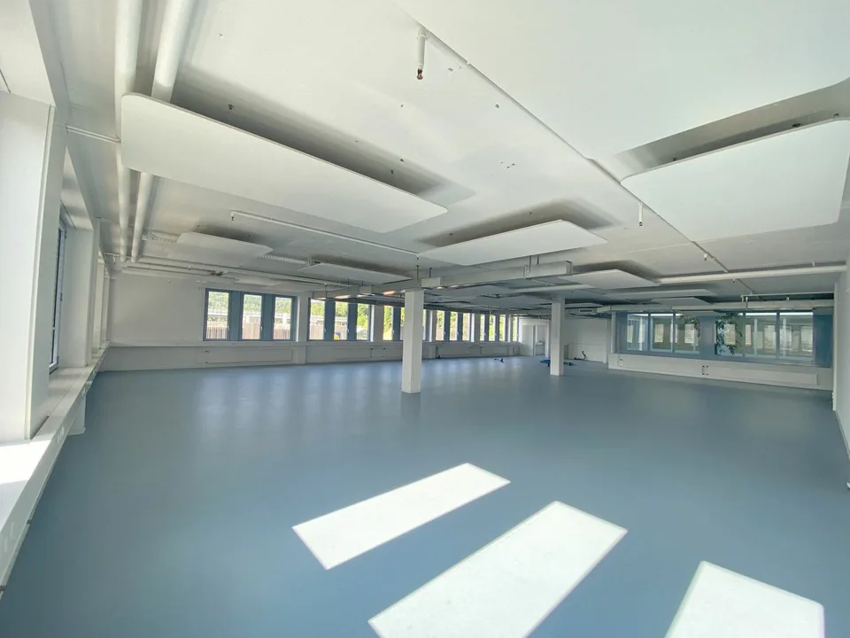 Showroom/Bürofläche