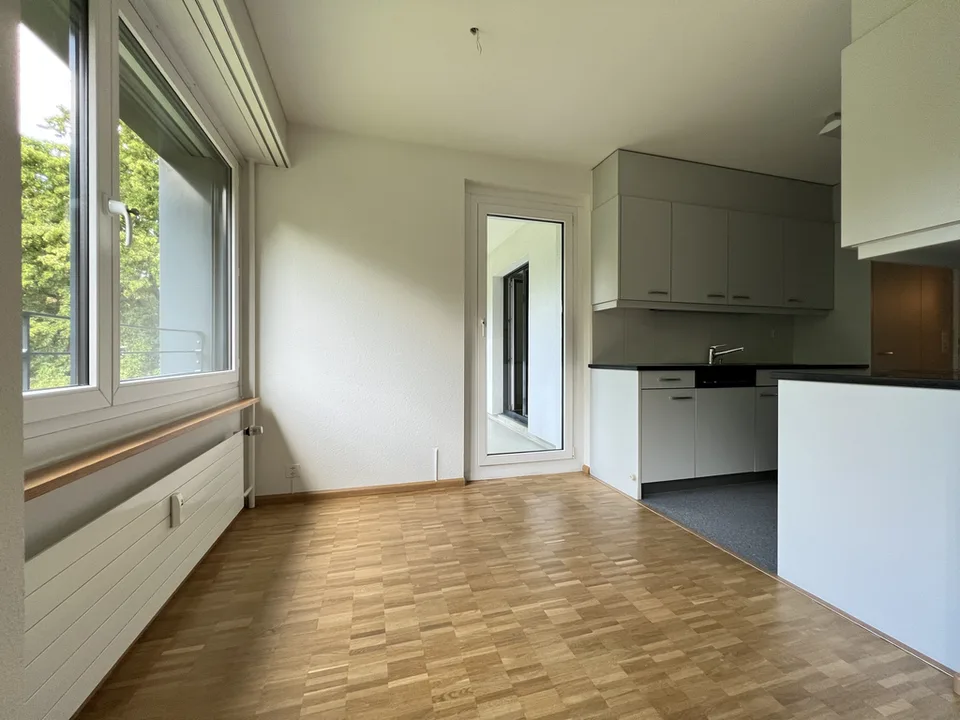 Bel appartement à Gellert avec vue au 11e étage
