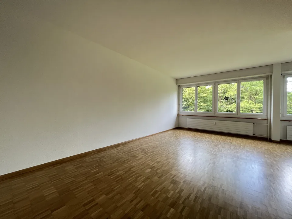 Bel appartement à Gellert avec vue au 11e étage