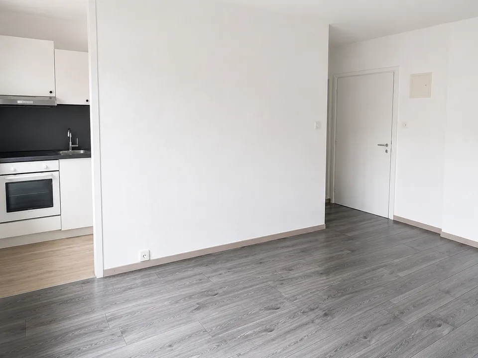 Magnifique studio fraichement rénové - A saisir sans attendre !!
