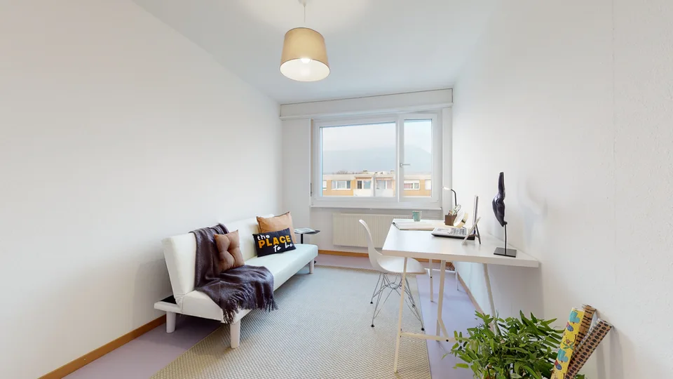 Looking for a bright apartment?