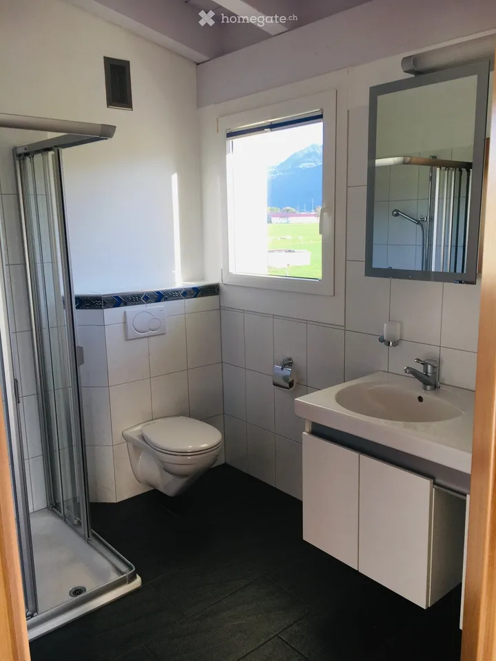 Exklusive 5.5-Zimmer-Duplex-Wohnung mit Bergblick in Wangen SZ
