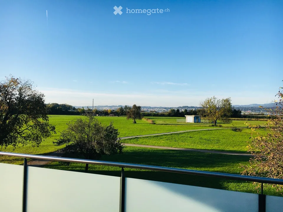 Exklusive 5.5-Zimmer-Duplex-Wohnung mit Bergblick in Wangen SZ