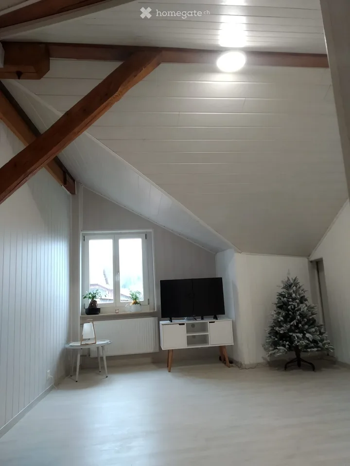 Geräumige 5½-Zimmer-Wohnung von 160m2 (6½-Zimmer)