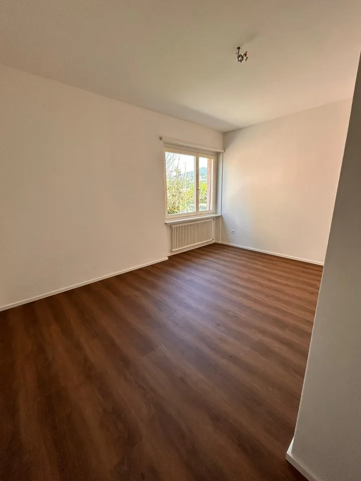 3.5 room apartment completely renovated in Mendrisio
