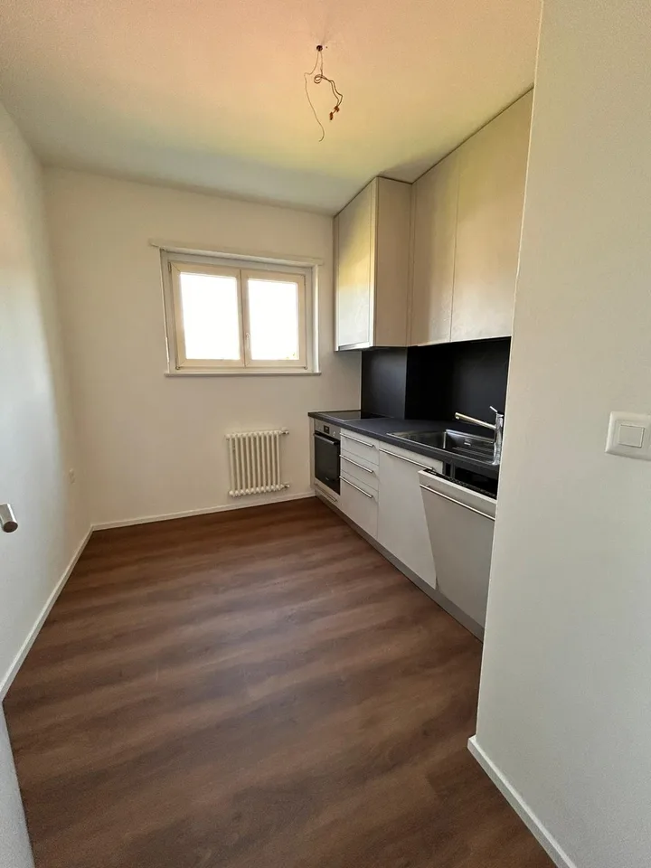 3.5 room apartment completely renovated in Mendrisio