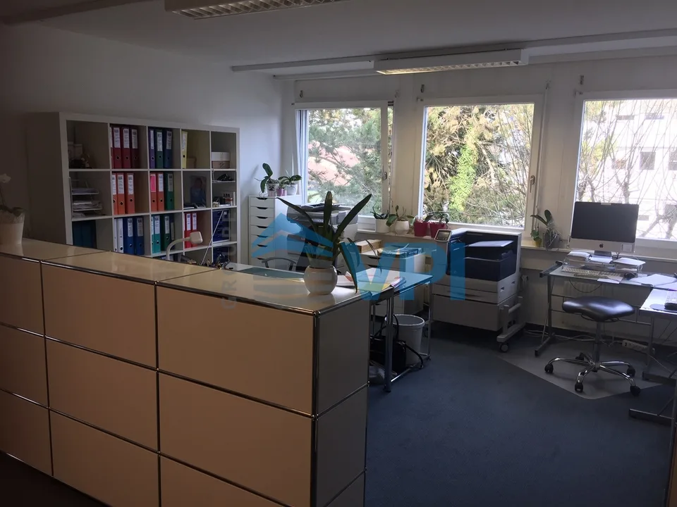 Mont-sur-Lausanne - Lumineux bureau d'environ 130m2