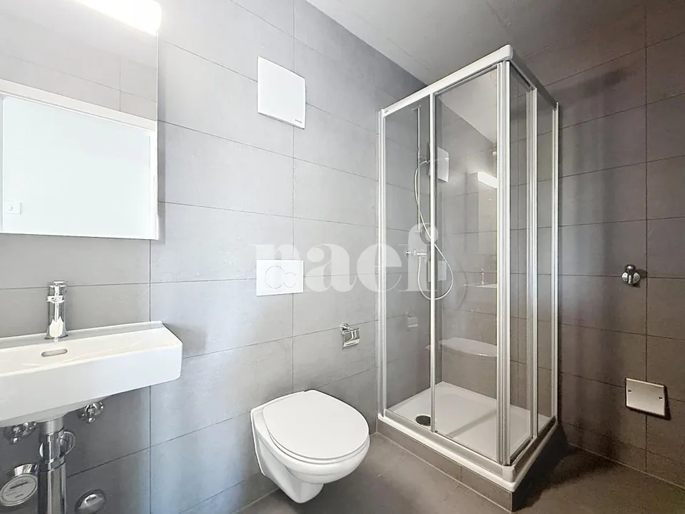Neue 4.5-Zimmer-Wohnung