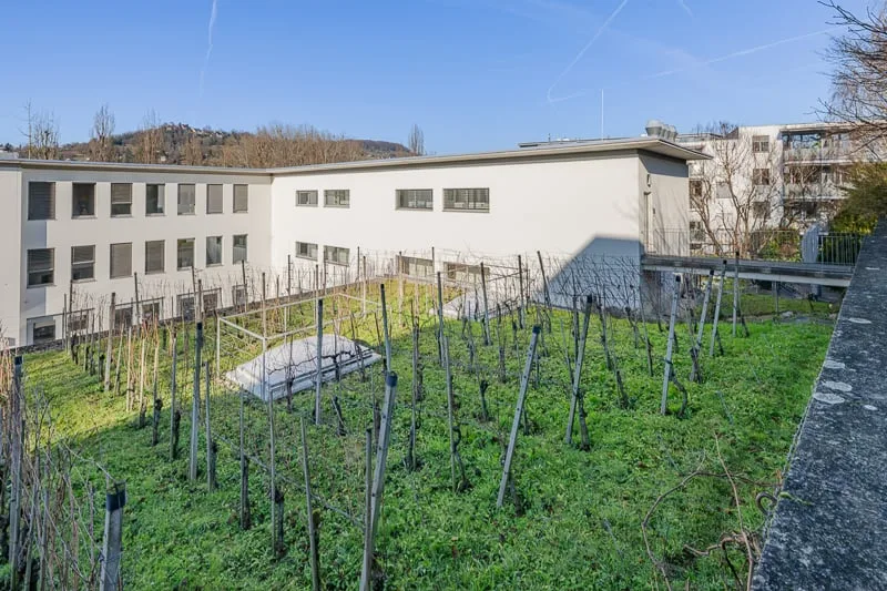 Uffici moderni a Riehen - Lörrracherstrasse 50