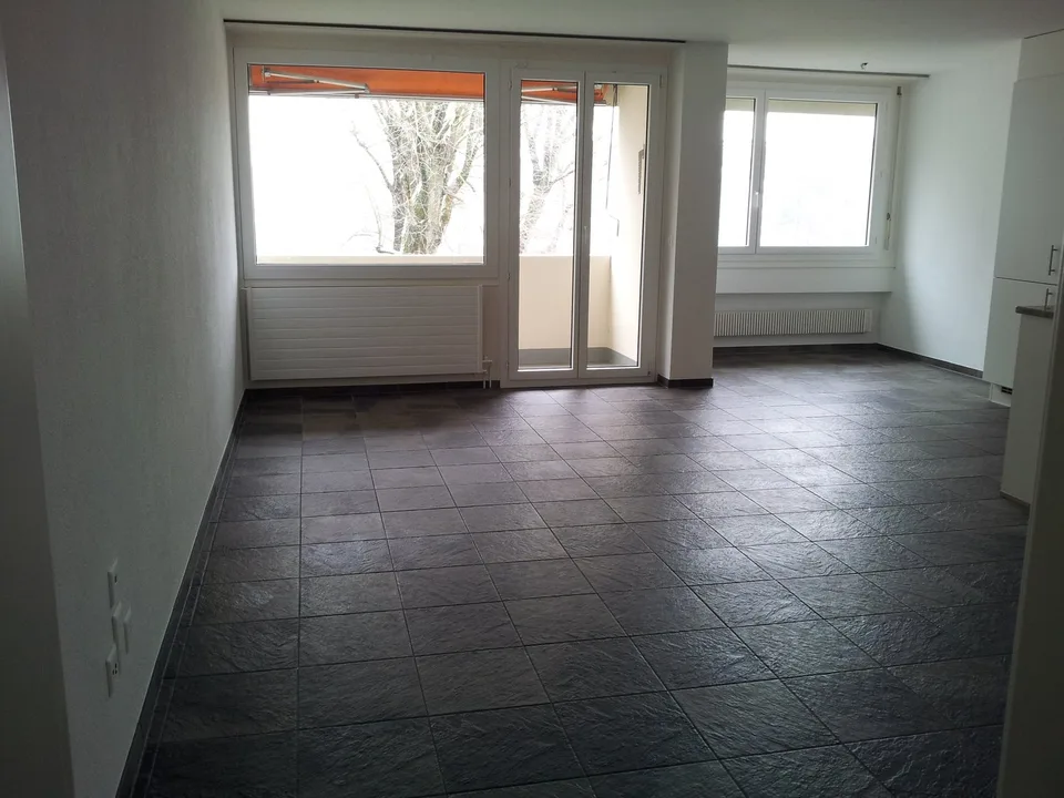 Appartement 3 pièces, Eisfeldstrasse 11 A, 2504 Biel