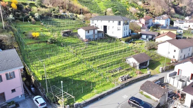 For Sale in Contone (Gambarogno) - Large Building Plot