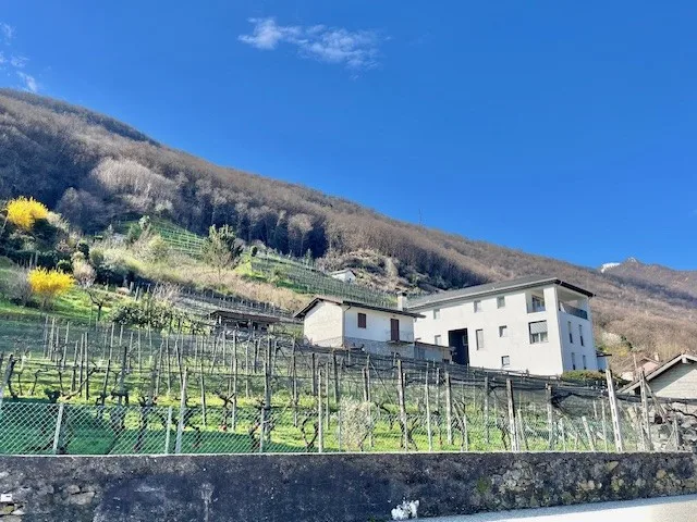 For Sale in Contone (Gambarogno) - Large Building Plot
