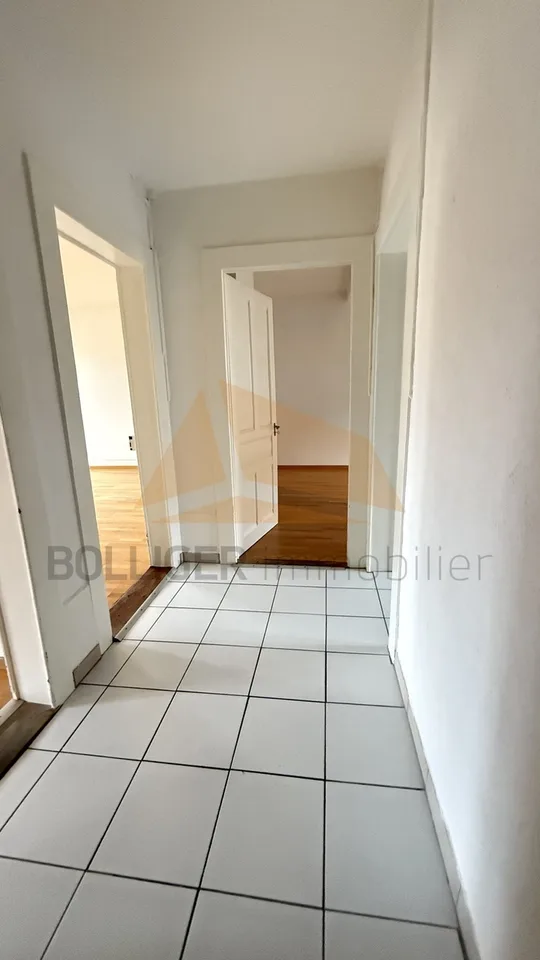 A VENDRE IMMEUBLE D'HABITATION DE 3 APPARTEMENTS EN PPE