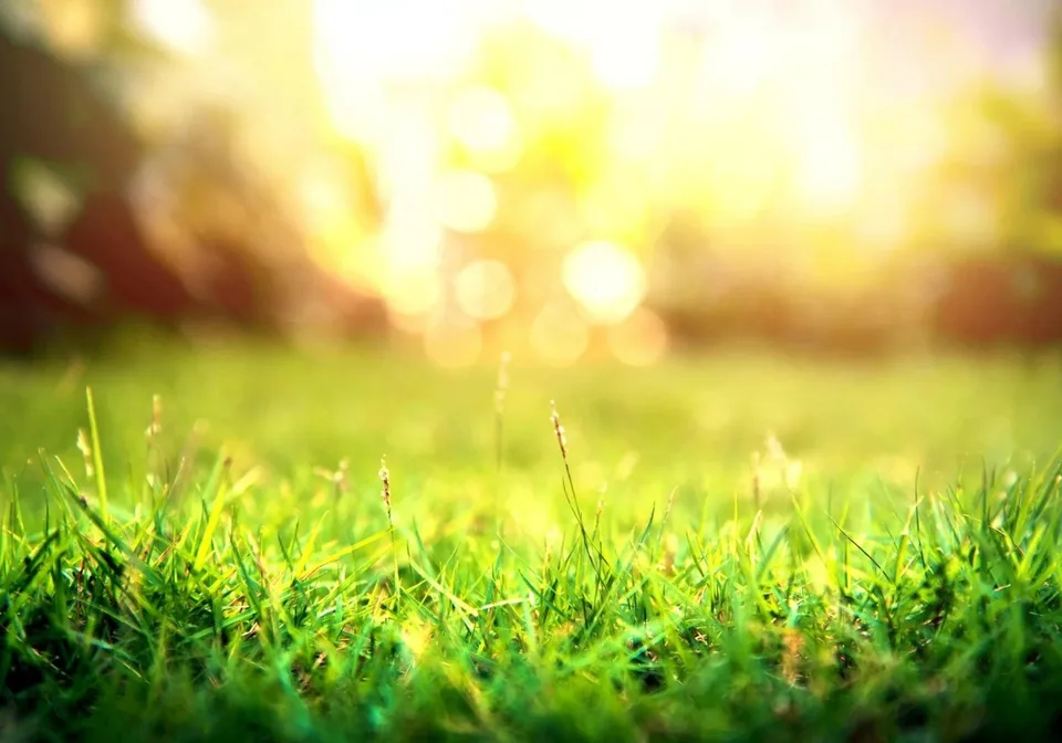 Terreno con progetto aux Giettes - Libero da mandato