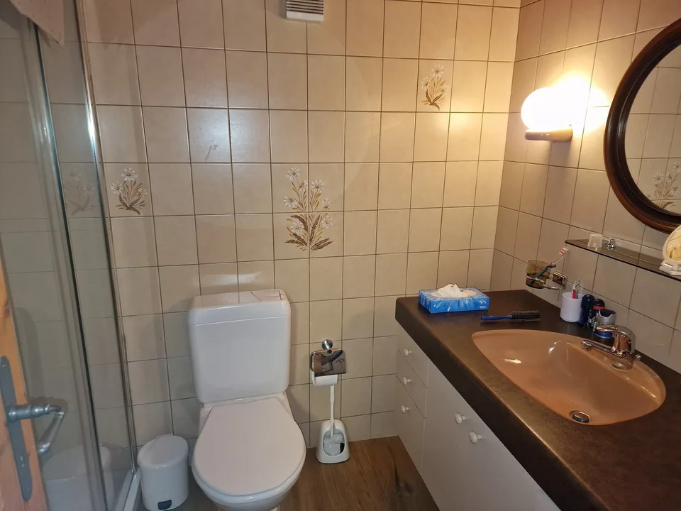 FIONNAY - Mazot 2 Zimmer + Carnotzet + möblierte Terrasse – Foto 9 von 13