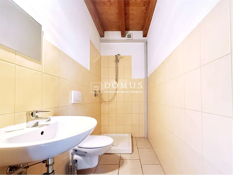 Imposantes Appartement auch für Büronutzung