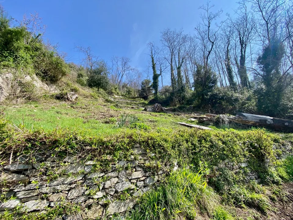 Villa zum Komplettrenovieren in ruhiger und sonniger Südlage mit traumhaftem Seeblick in Strandnähe – Foto 11 von 11