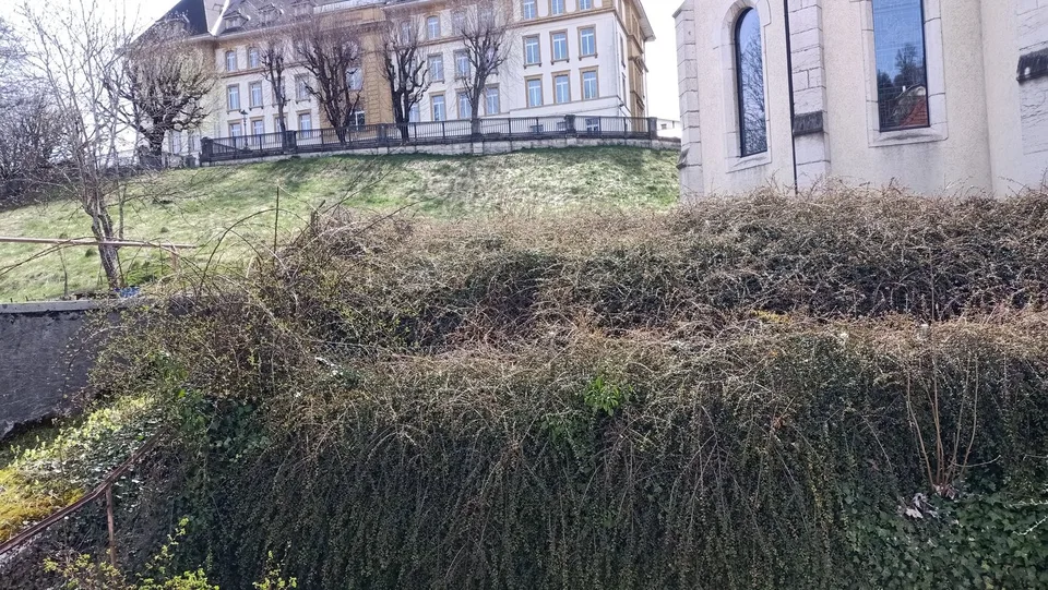 Schönes Haus zu renovieren / umzuwandeln mit zusätzlichem Baupotenzial – Foto 16 von 17