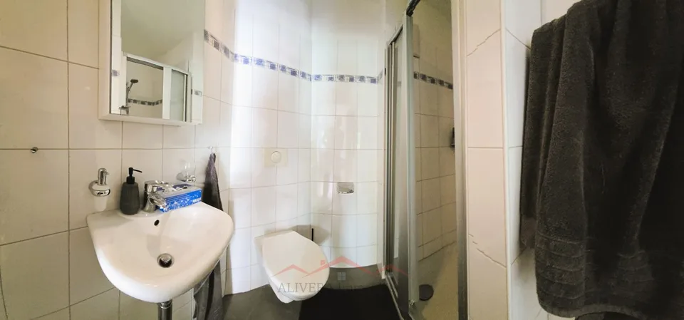 Spacious 4.5 room apartment – photo 12 of 13