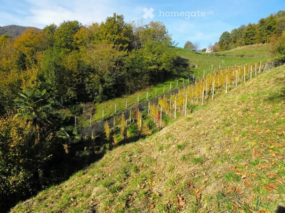 Villa Dimodora – Votre Projet : Une propriété exceptionnelle en bord de lac avec vue sur le Lago Maggiore