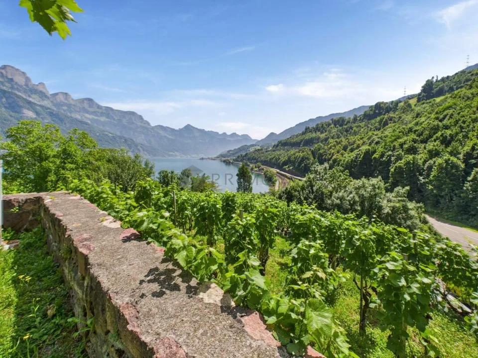 Hôtel & Restaurant avec appartements, vignoble et terrain à bâtir dans un emplacement premium au bord du lac de Walensee – photo 6 sur 30