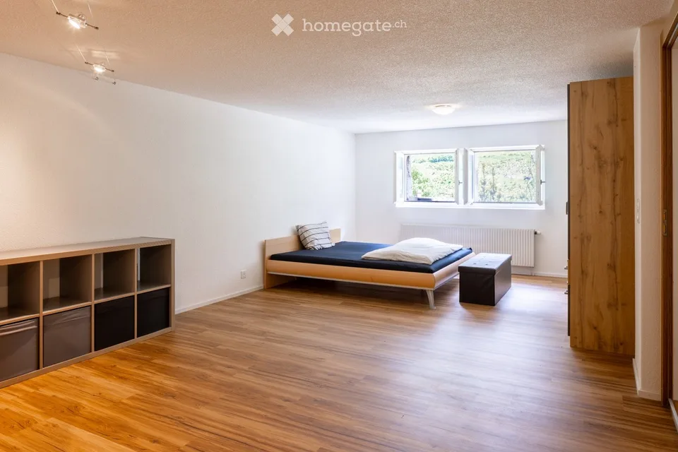 Appartamento o appartamento vacanze di 2,5 locali a Gurtnellen, UR