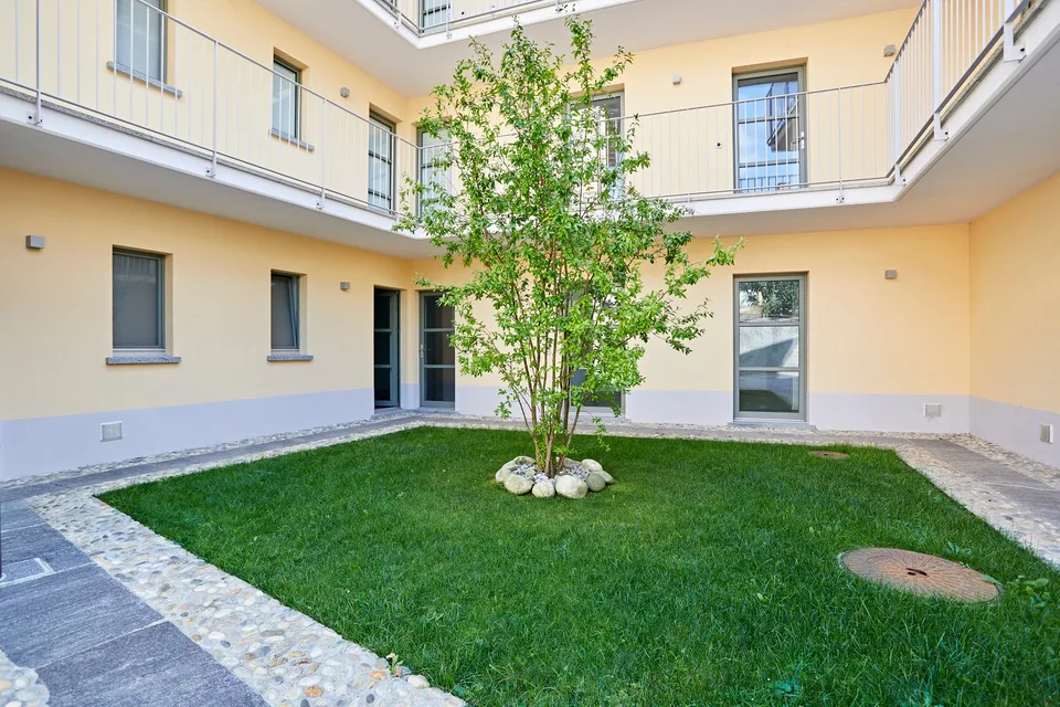Moderne Gewerbeflächen in einem historischen Haus in Stabio