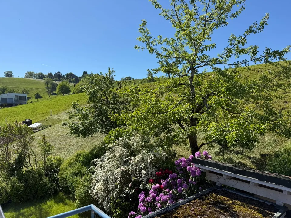 Geräumiges 8-Zimmer-Einfamilienhaus an ruhiger Lage in Edlibach/Menzingen