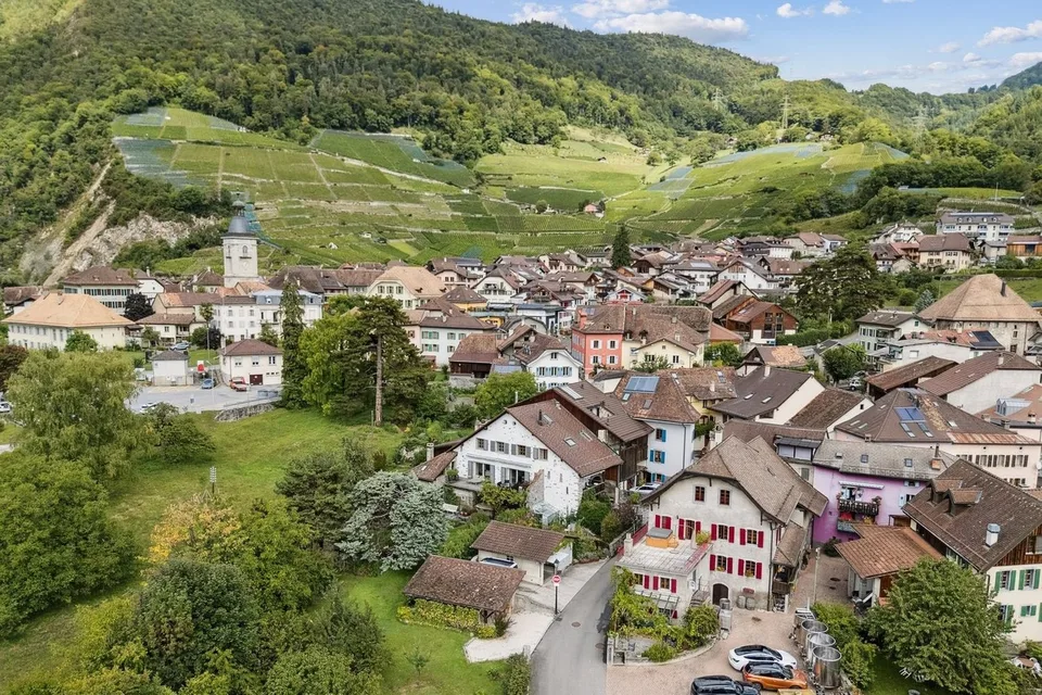 Selten! im authentischen Dorf Ollon, Winzerhaus & Anbau