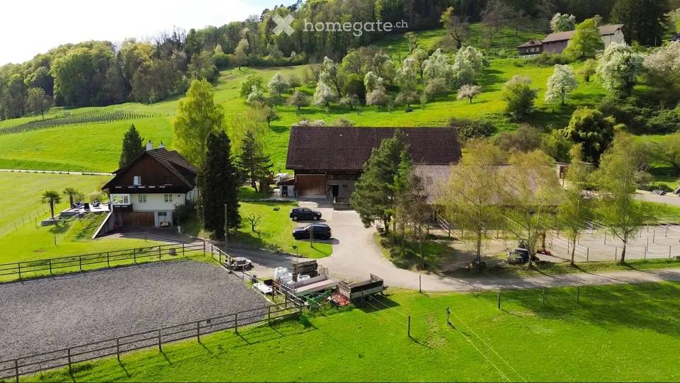 EXKLUSIVER REIT- UND PENSIONSTALL MIT 83'000 M2 LAND an idyllischer Lage in Neftenbach