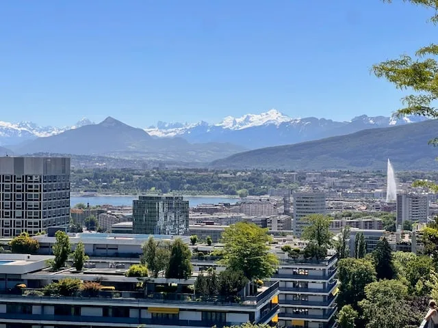 Viager – Prächtige Wohnung, Panoramablick und Dachpool - Petit-Saconnex