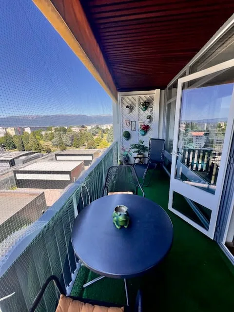 Viager - Wunderschöne Wohnung, Panoramablick und Dachpool - Petit-Saconnex – Foto 6 von 11