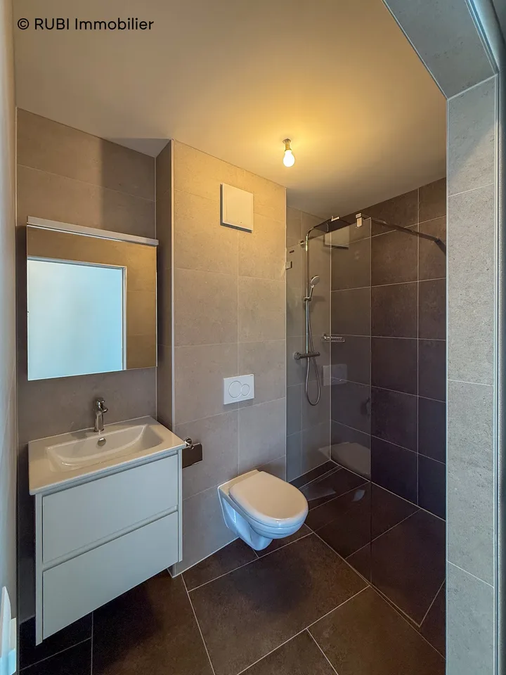 Schönes neues 4.5-Zimmer-Apartment mit großer Terrasse – Foto 9 von 13