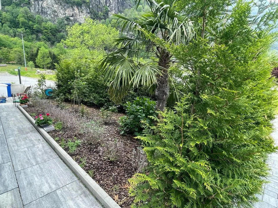 Casa Unifamiliare – foto 12 di 23